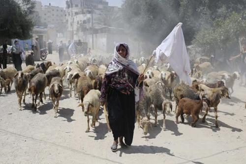 Chạy trốn khỏi Gaza ảnh 1