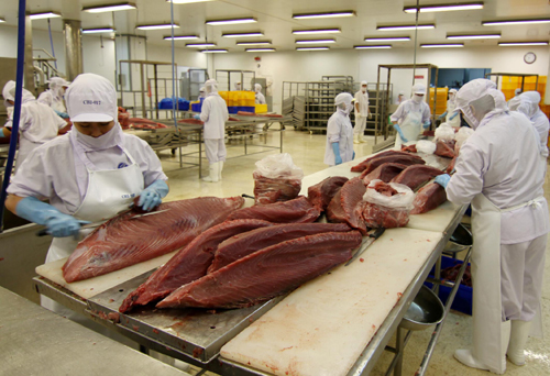 Hơn 170 công ty sẽ tham dự Hội chợ Thủy sản Quốc tế 2014 ảnh 1