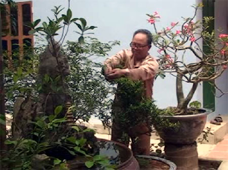 Thương binh nặng làm giàu ảnh 1