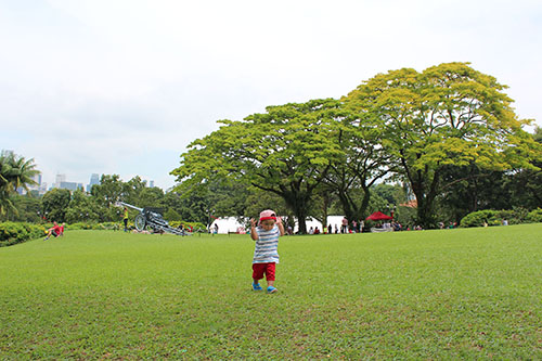 Ngắm dinh thự Tổng thống Singapore ảnh 5