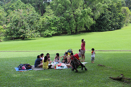 Ngắm dinh thự Tổng thống Singapore ảnh 12