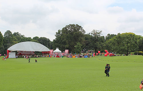 Ngắm dinh thự Tổng thống Singapore ảnh 14