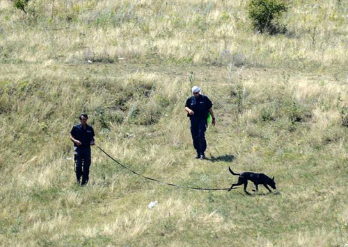 Hoãn tìm kiếm tại hiện trường MH17 vì lý do an toàn ảnh 1