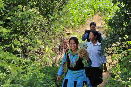 Tinh tế cùng thổ cẩm của người Mông ảnh 3