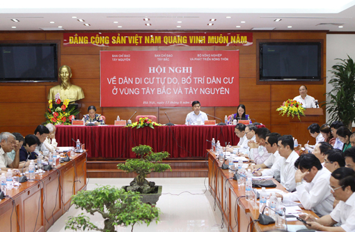 Ổn định dân di cư tự do - Hệ lụy từ di cư tự do ảnh 1
