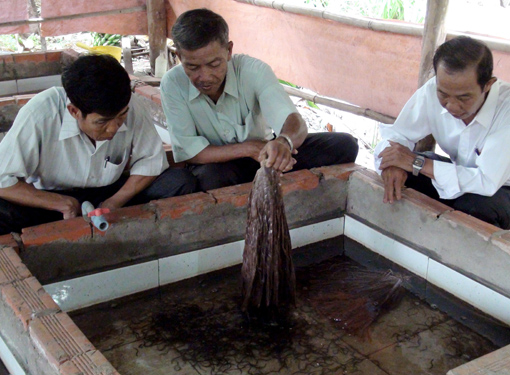 Đổi thay trên quê hương cách mạng Mỹ Lộc ảnh 1
