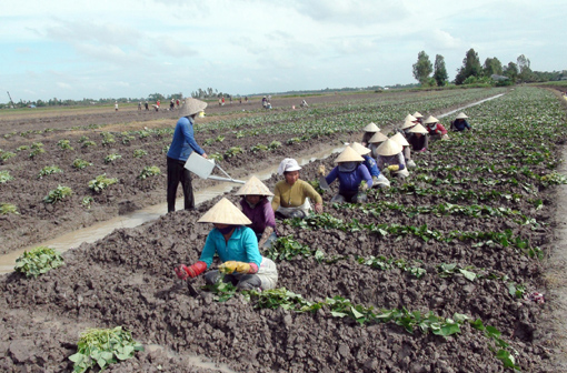 Đổi thay trên quê hương cách mạng Mỹ Lộc ảnh 2