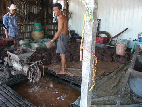Chấm dứt nuôi cá tra tự phát ảnh 1