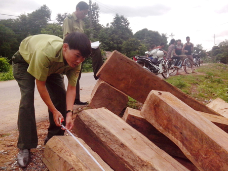 Ngụy trang tinh vi gỗ lậu trong thùng xe ảnh 1