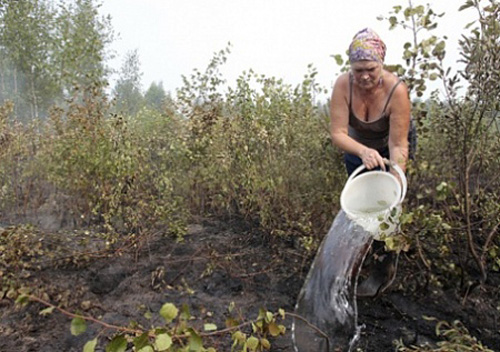 Ukraine thay thế khí đốt Nga bằng nhiên liệu than bùn ảnh 1