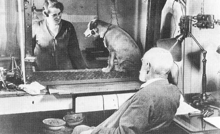 Ivan Pavlov - người tìm ra định luật 'phản xạ có điều kiện' ảnh 2