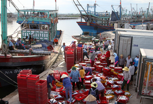 Bạn của ngư dân ảnh 1