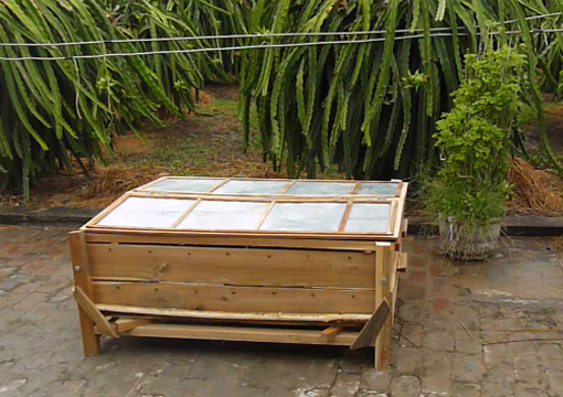 Giải pháp mới xử lý rác thải từ cây thanh long ảnh 1