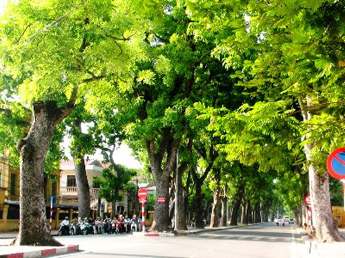 Nhân lên những không gian xanh cho Thủ Đô ảnh 1