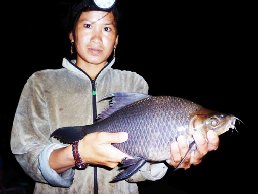 Chợ đặc sản vùng biên mùa nước nổi ảnh 5