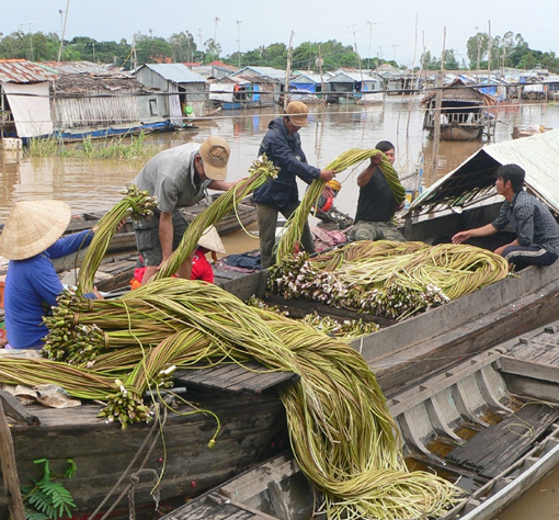 Chợ đặc sản vùng biên mùa nước nổi ảnh 6