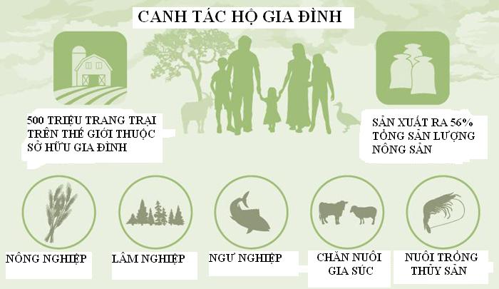 FAO kêu gọi thúc đẩy canh tác hộ gia đình ảnh 2