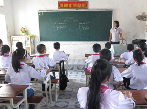 Bông hoa đẹp nơi vùng trũng Thái Bình ảnh 1
