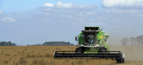 Tranh cãi thực phẩm biến đổi gen ở Argentina ảnh 1