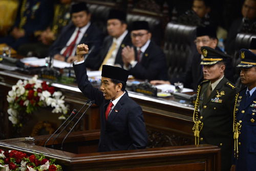 Indonesia với hy vọng mang tên 'Jokowinomics' ảnh 1