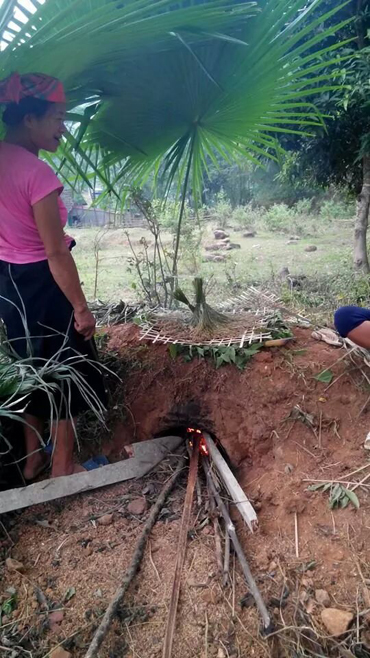 Ngọt thơm hương cốm vùng cao ảnh 2