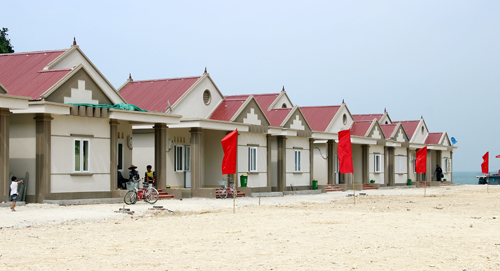 Đảo Trần đã không còn trần trụi ảnh 1