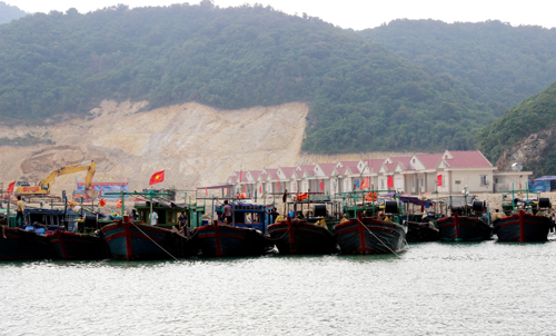 Đảo Trần đã không còn trần trụi ảnh 2