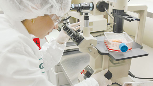 Rà soát việc mua trang thiết bị y tế của Công ty Bio-Rad ảnh 1