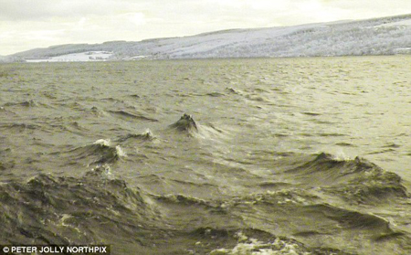 Bằng chứng ‘quái vật hồ Loch Ness’ tồn tại? ảnh 1