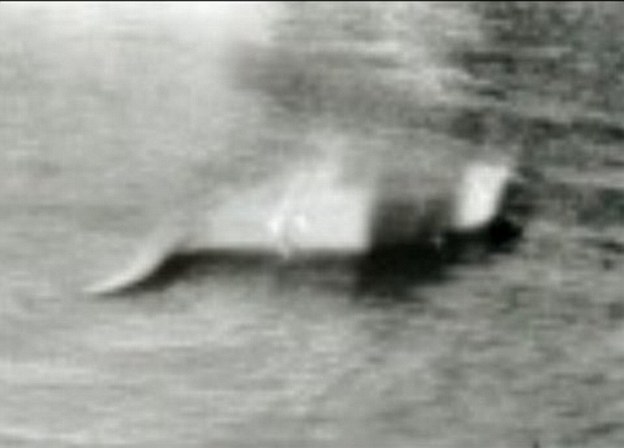 Bằng chứng ‘quái vật hồ Loch Ness’ tồn tại? ảnh 9