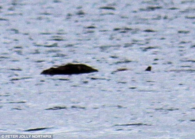 Bằng chứng ‘quái vật hồ Loch Ness’ tồn tại? ảnh 10