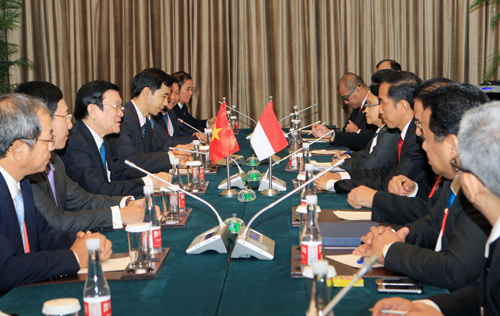 Chủ tịch nước gặp Tổng thống Indonesia bên lề APEC ảnh 1