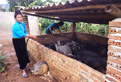 Bản Giáng mong không còn '3 không' ảnh 1