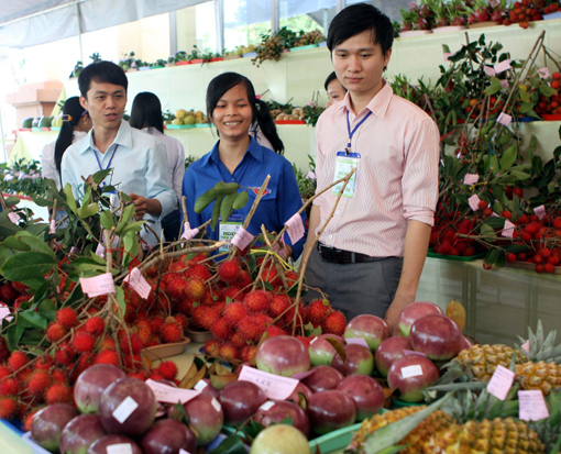 Cơ hội từ xuất khẩu trái cây ảnh 1