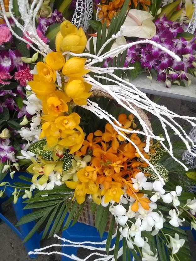 Sắc hoa rực rỡ chào mừng ngày nhà giáo Việt Nam ảnh 9
