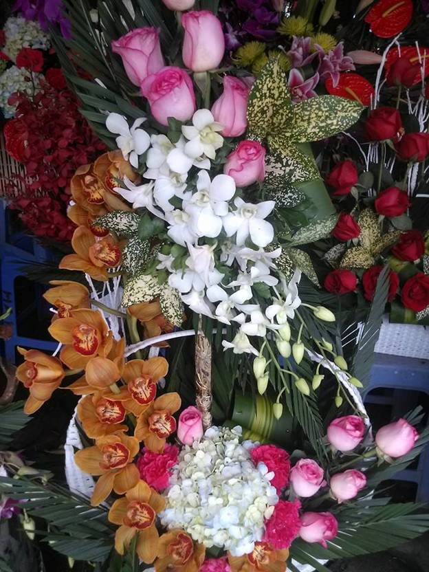 Sắc hoa rực rỡ chào mừng ngày nhà giáo Việt Nam ảnh 10