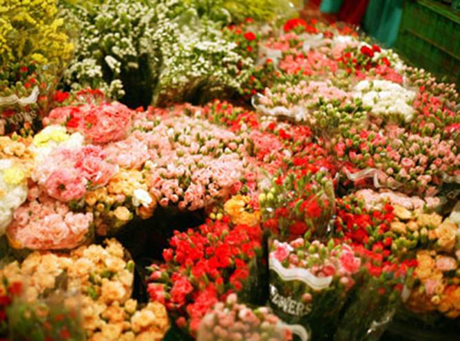 Sắc hoa rực rỡ chào mừng ngày nhà giáo Việt Nam ảnh 11