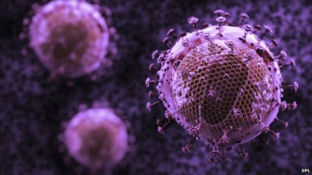 HIV chuyển sang 'dạng lành tính hơn' ảnh 1