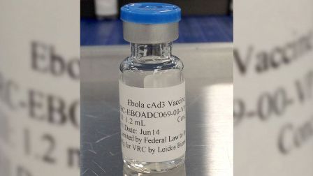 Thụy Sĩ ngừng thử nghiệm một loại vaccine phòng Ebola ảnh 1