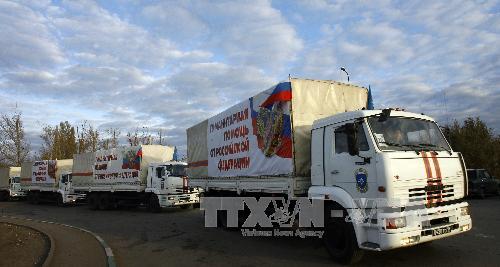Nga đưa thêm xe viện trợ tới Đông Ukraine ảnh 1