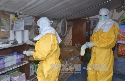 Số ca tử vong do dịch Ebola tăng mạnh ảnh 1