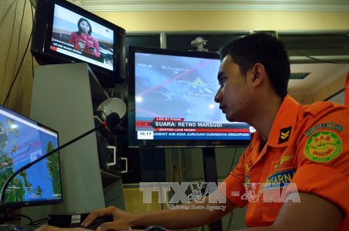 Máy bay AirAsia nhiều khả năng đang 'ở dưới đáy biển' ảnh 1