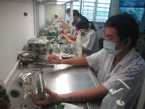 Nhân lực chất lượng cao chưa đáp ứng yêu cầu ảnh 1