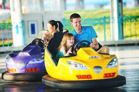 "Vua tốc độ” của Nam Cực đang gây sốt ở Phú Quốc ảnh 10