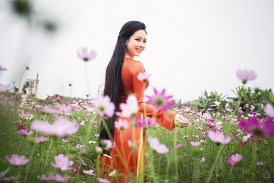 Bộ sưu tập Xuân Tứ Quý ảnh 11