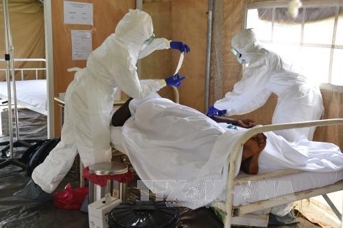 LHQ: Thành công của cuộc chiến chống Ebola "trong tầm tay" ảnh 1