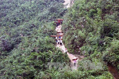 'Nóng' tình trạng phá rừng tại Kon Tum ảnh 1