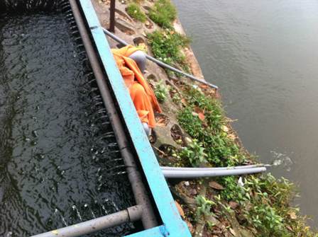 Người Hà Nội vừa tập thể dục vừa lọc nước hồ ảnh 6