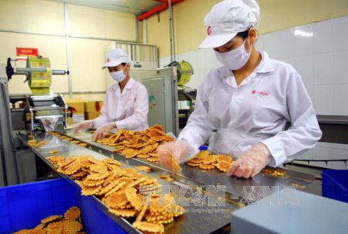 Kinh tế Việt Nam sẽ tiếp tục phục hồi trong 2015 ảnh 1