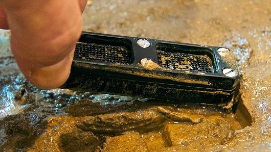 Phát hiện thuốc kháng sinh mới từ đất ảnh 2